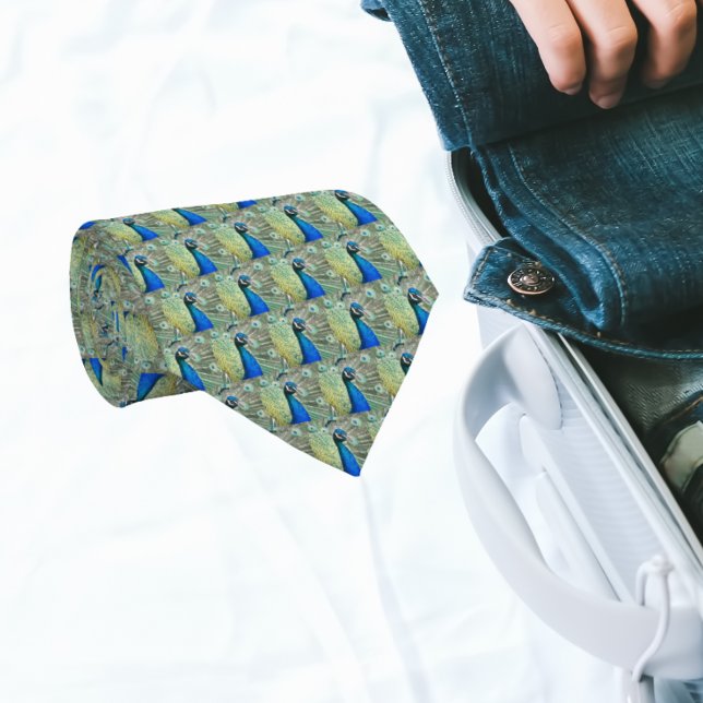 Cravate Belles plumes de paon bleu (In Situ (Rolled))