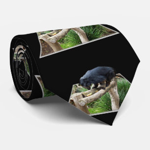 Cravate Binturong Se Trouvant Sur Un Rail En Bois,