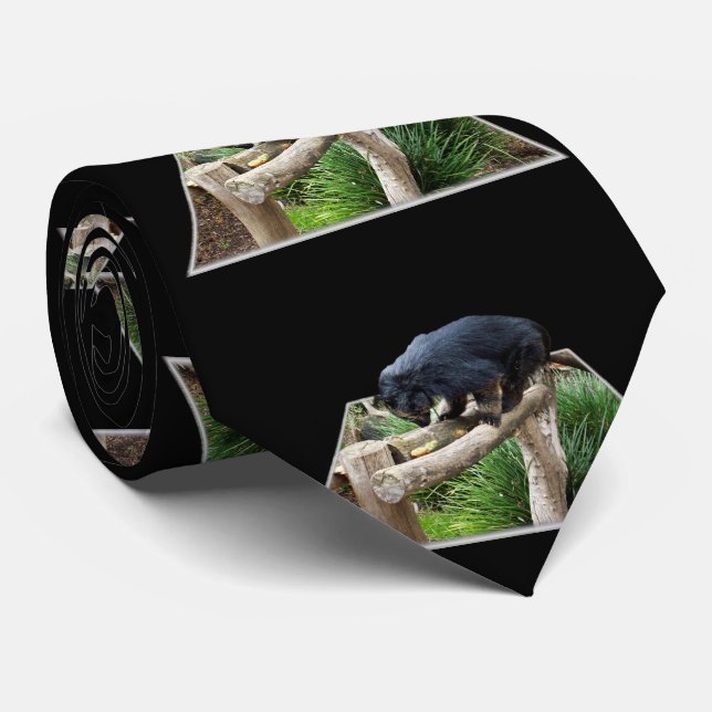 Cravate Binturong Se Trouvant Sur Un Rail En Bois, (Roulé)