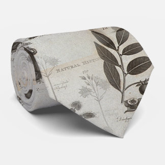 Cravate biologie de nature d'histoire de dronte