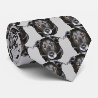 Cravate Black Labrador Retriever Dog Face