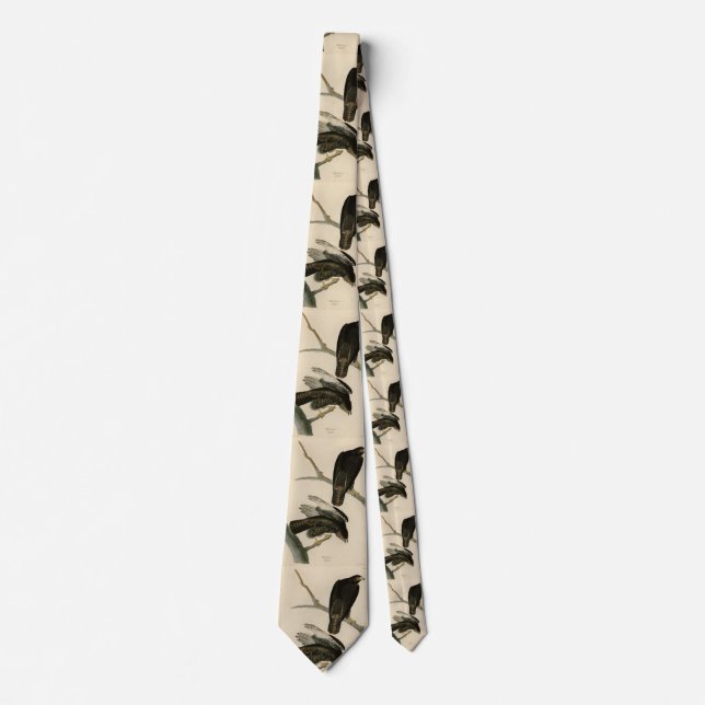 Cravate Black Warrior (Buse à queue rouge) d'Audubon Birds (Devant)