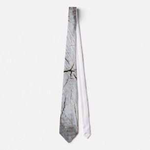 Cravate Bois Gris Gris Pin Arbre Pinceau Photo Art 1