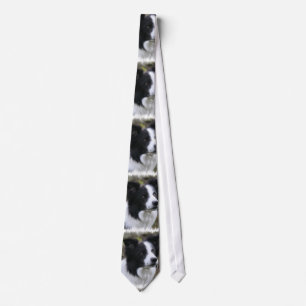 Cravate Border collie art