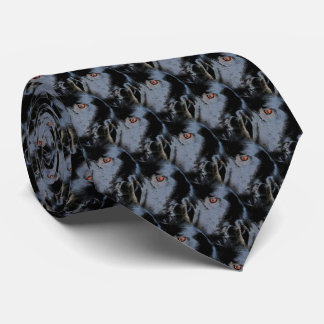 Cravate Bordure noire Collie Chien Visage Animal Art Motif