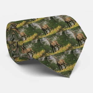 Cravate Bouquetin sauvage alpin, de capra, ou steinbock