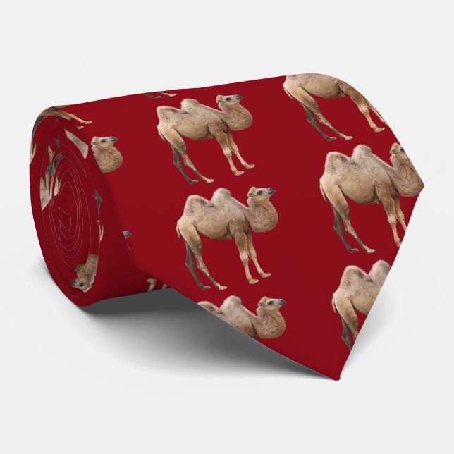 Cravate Camel (Roulé)