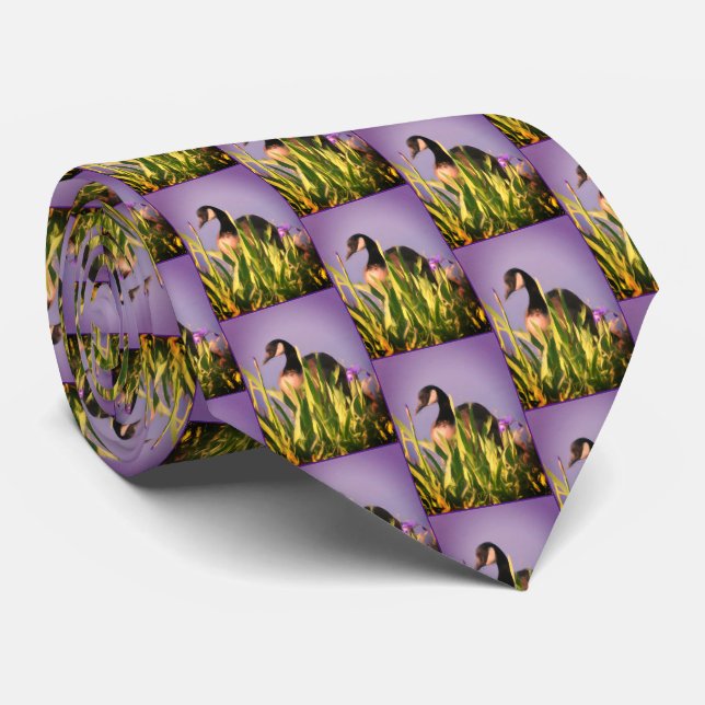 Cravate Canada Oie Irises Nature Art Purple (Roulé)