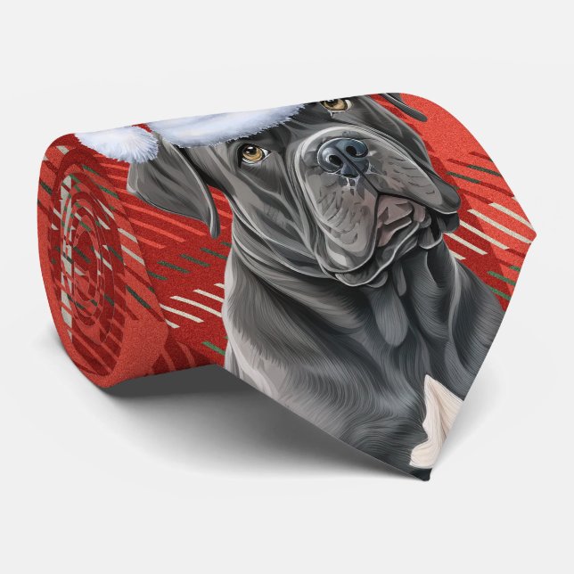 Cravate Canne de vacances Corso Chien et Plaid Noël (Roulé)