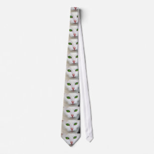 Cravate Ceinture blanche de chatte jaune