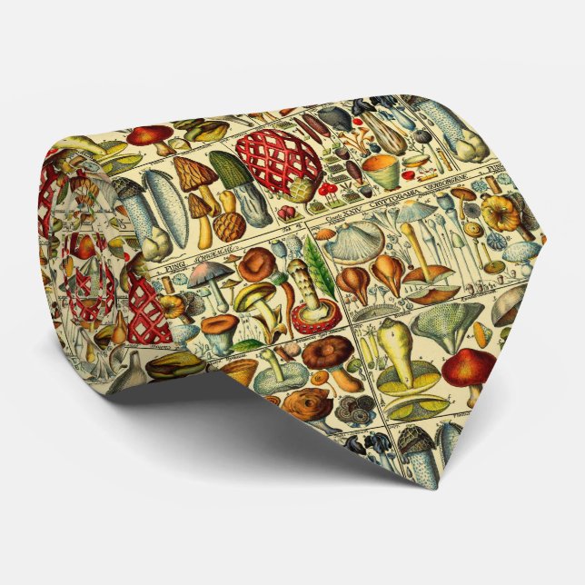 Cravate Champagne Champagne de champagne de champagne de c (Roulé)