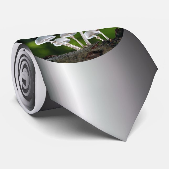 Cravate Champignons d'automne de l'huître blanche (Roulé)