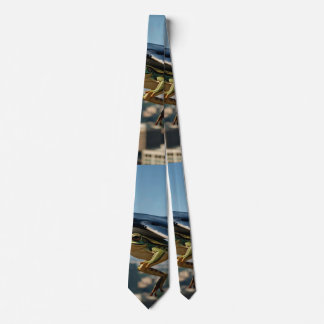 Cravate Chaussettes d'équipage