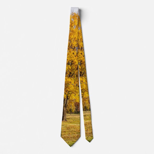 Cravate Chemise Automne Jaune Érable Sucre Tie (Devant)