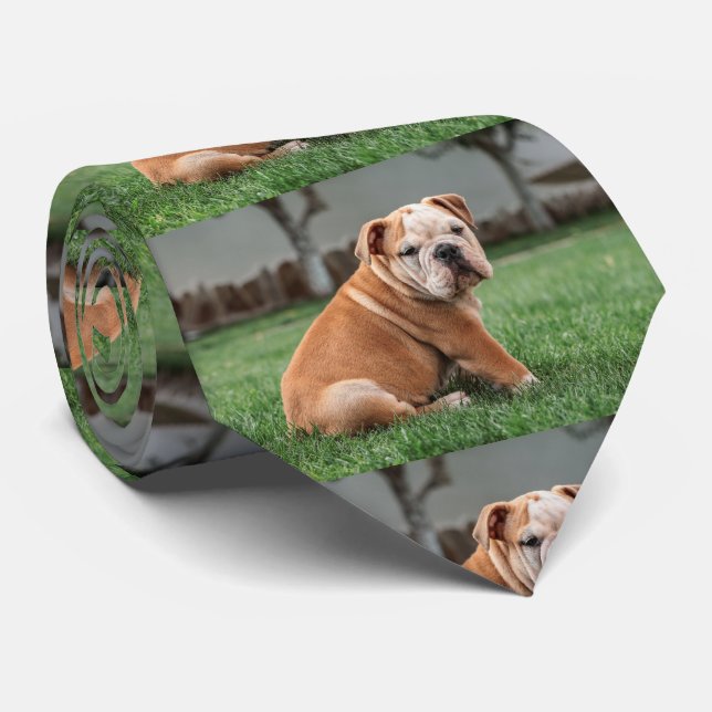 Cravate chiot bouledogue rouge et blanc (Roulé)