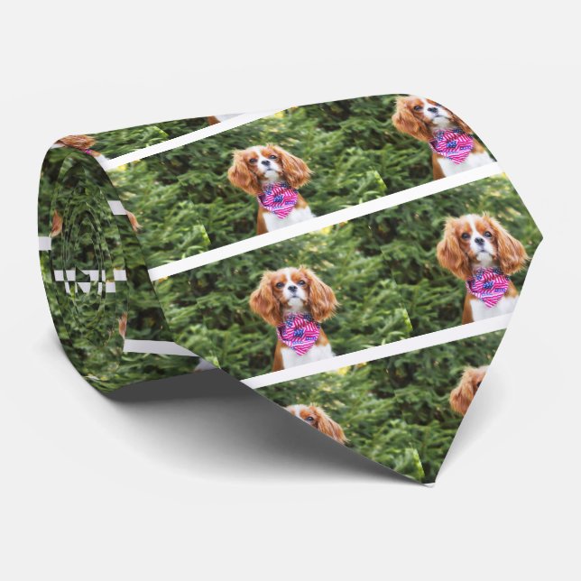 Cravate Chiots Cavalier King Charles au drapeau américain (Roulé)