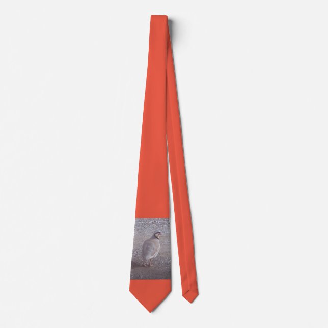 Cravate Chukar tie with orange background (Devant)