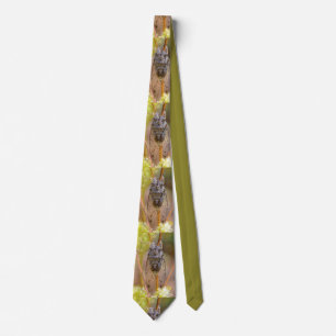 Cravate Cicada on stem neck tie