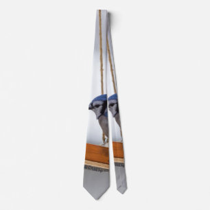 Cravate Col Crampon de Blue Jay