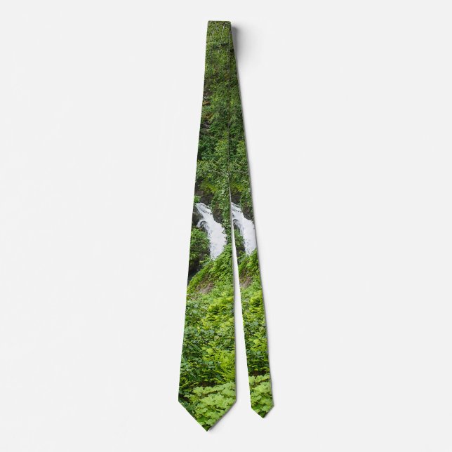 Cravate Col foulard peintre Thunderbird pelucheux (Devant)