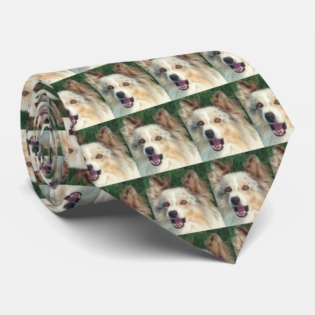 Cravate Collier pour chien exceptionnellement beau (Roulé)