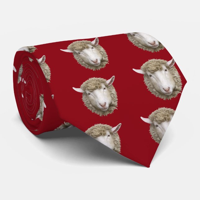 Cravate Corriedale sheep (Roulé)