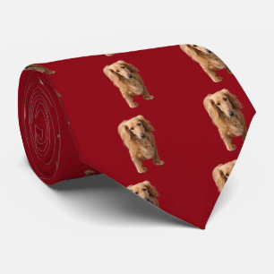 Cravate Dachshund