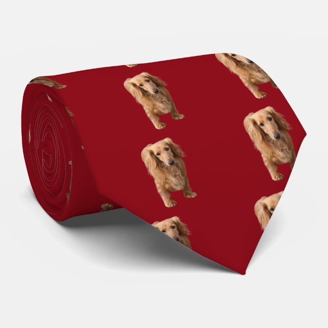 Cravate Dachshund (Roulé)