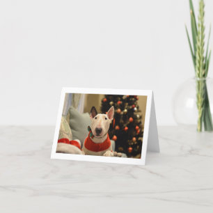 Cravate de boule Bull Terrier Arbre de Noël Carte