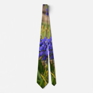 Cravate de la famille Graph Hyacinths