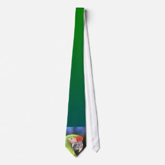 Cravate de perroquet