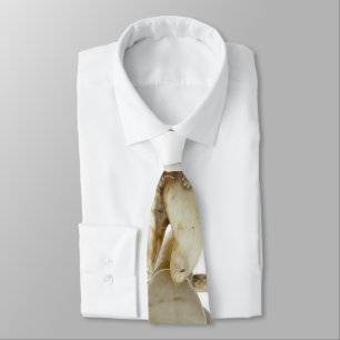 Cravate Dentiste de dents extrait par photographie