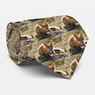 Cravate des Red Fox