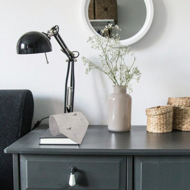 Cravate Desert Lizard sur le trottoir gris (Créateur téléchargé)