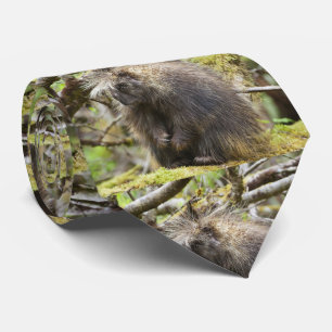 Cravate Determined Porcupine