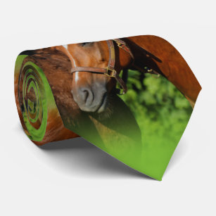 Cravates Cheval Zazzle Fr