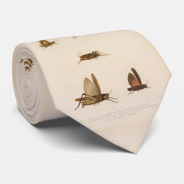 Cravate Diagramme vintage de sauterelle (1875) (Roulé)