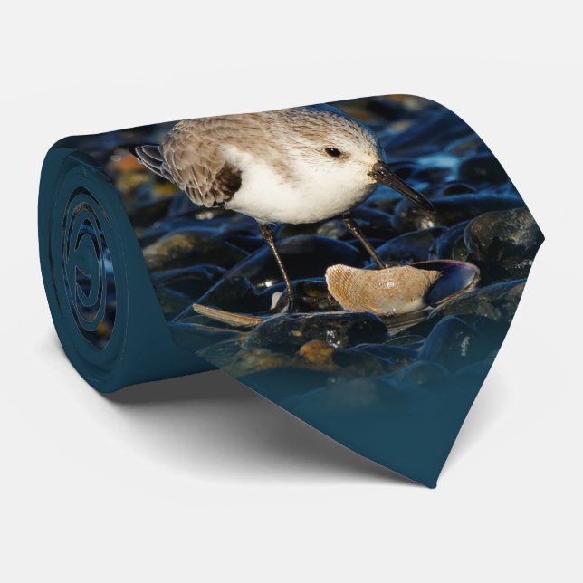 Cravate Dîners aux écrevisses de Sanderling sur la plage (Roulé)