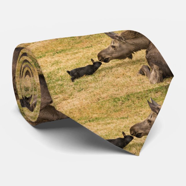 Cravate Diversité (Roulé)