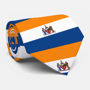 Cravate Drapeau d'Albany, New York