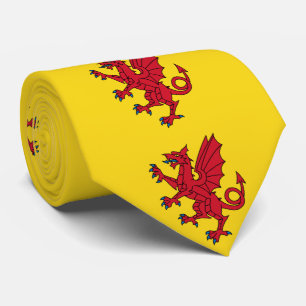 Cravate Drapeau de Somerset