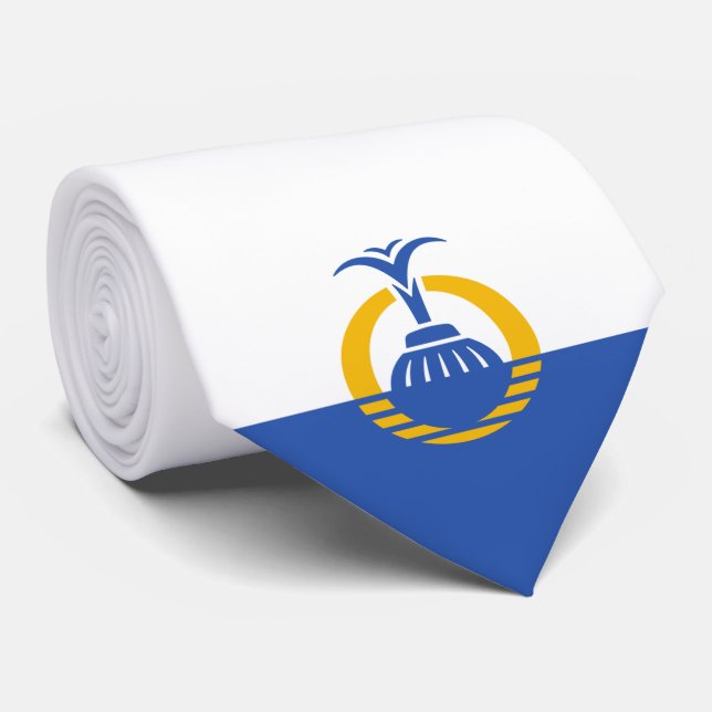 Cravate Drapeau d'Orlando (Floride) (Roulé)