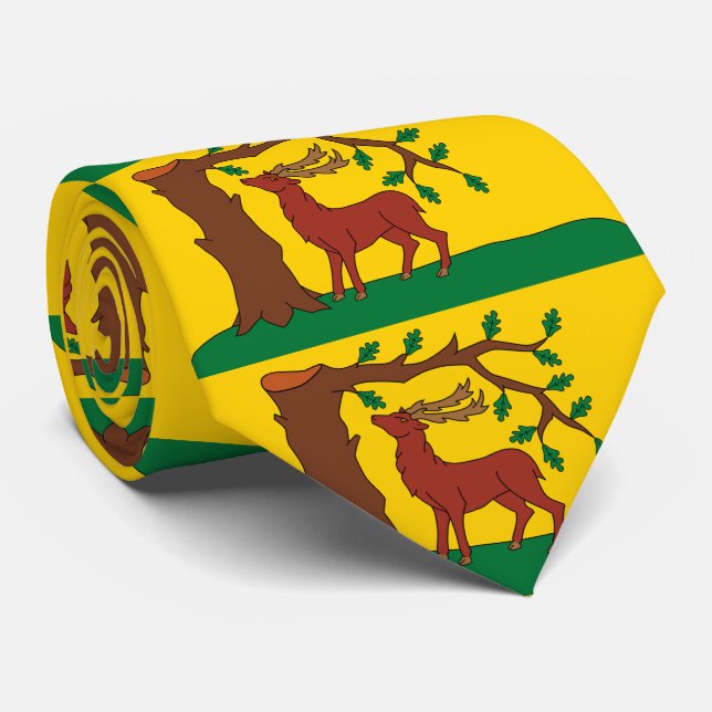 Cravate Drapeau du comté historique du Berkshire Col crava (Roulé)
