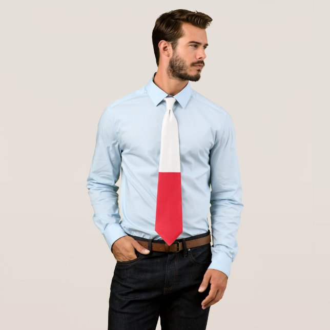 Cravate Drapeau du Groenland (En situation)