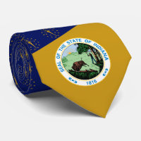 Drapeau et phoque Hoosier, Drapeau de l'Indiana
