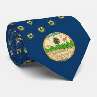 Drapeau & Sceau Vermonois, Drapeau Vermont