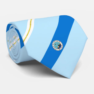 Cravate du drapeau de la ville de Rochester (Minne