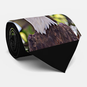 Cravate Eagle chauve