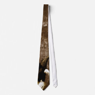 Cravate Esprit d'Eagle