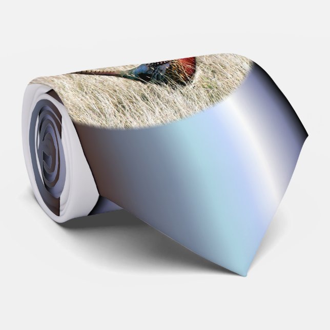 Cravate Faisan de cou d'anneau dans le pré (Roulé)